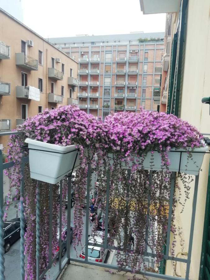 Apartament Casa Di Mamma *